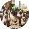 Cat Family