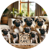Dogs Family