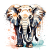 Elefant in Farben