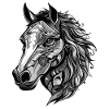 Cheval Portrait Tête Animal