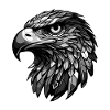 Eagle Portrait Head Animal