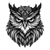 Owl Portrait Head Animal