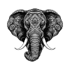 Éléphant Portrait Tête Animal