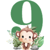 9th Birthday Monkey Safari