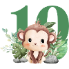 10th Birthday Monkey Safari