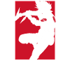 Naruto Shippuden Cooles Kakashi-Design