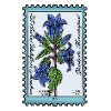 Campanule