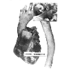 Collage_004