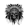 Apache Skull Native American