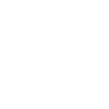 Chien blanc rigolo