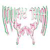 Muay Thai Thai Boxing