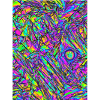Acid Graphics
