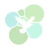 Flying, Bird, Bird