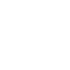 Ski