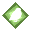 Perruche Oiseau Illustration Perruche