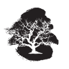 Horticulture Botanical Plants
