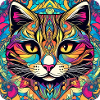 Chat Graffiti Cool
