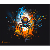 Spider Willi