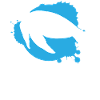 Ocean Wave Turtle Freedom Gift