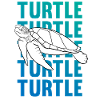 TURTLE Schattenbild Wortkunst Geschenk