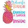 Nurse Midwife Birth Worker