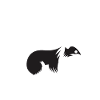 Humour Mouffette