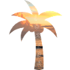 Palm tree - Florida