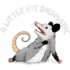 A little bit Dramatic - Opossum