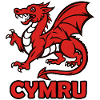 CYMRU WALES Red Dragon