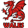 Logo smoka WALES CYMRU z Walii