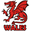 Welsh red dragon "WALES"