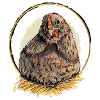 Henne im Goldenem Nest