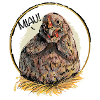 Meowing Easter Chicken