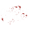 Quartiers Nord