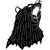 Angry Black Bear