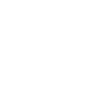 Angry Polar Bear