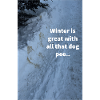 winter wonderland dog pee