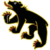 Flag of Bern