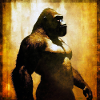 Gorilla 03