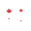temps libre canada feuille