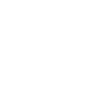 Idiot du village