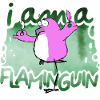I am a Flaminguin