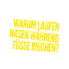 ich verstehe es nicht