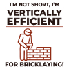 Bricklayer Bricklaying Vertical Efficiency Job