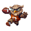 Cool Owl