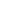 Turtle Schildkröte