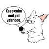 Weisser Schweizer Schäferhund