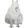 sødt capybara capybara capibara marsvin
