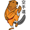 Beaver and Karate