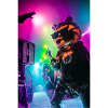 Party Bear